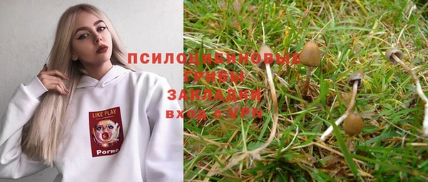соль ск Вяземский