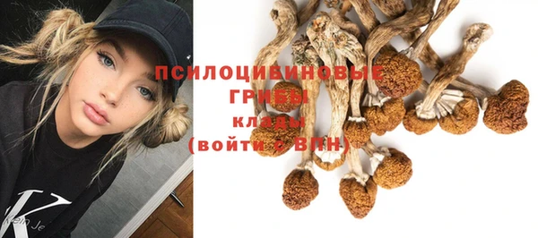 соль ск Вяземский