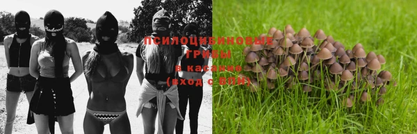 мескалин Верея