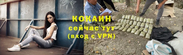 соль ск Вяземский